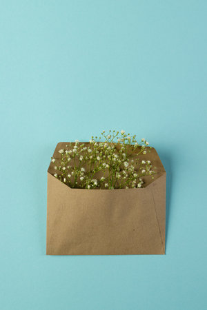 Vertical image of white flowers in brown envelope and copy space on blue background. Flower, plant, shape, nature and colour concept.の写真素材