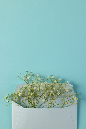 Vertical image of white flowers in white envelope and copy space on blue background. Flower, plant, shape, nature and colour concept.の写真素材