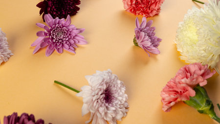 White, red and pink flowers with copy space on orange background. Flower, plant, shape, nature and...