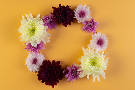 White, pink and purple flowers forming circle and copy space on orange background. Flower, plant,...