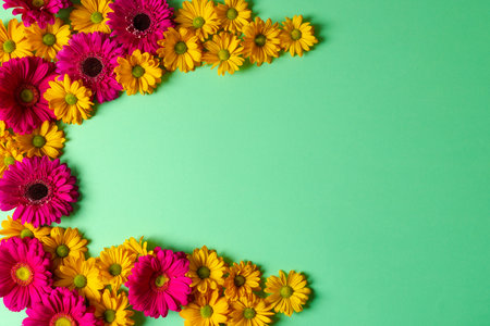 Yellow and pink flowers and copy space on green background. Flower, plant, shape, nature and colour concept.の写真素材