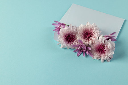 White and pink flowers in white envelope and copy space on blue background. Flower, plant, shape, nature and colour concept.の写真素材