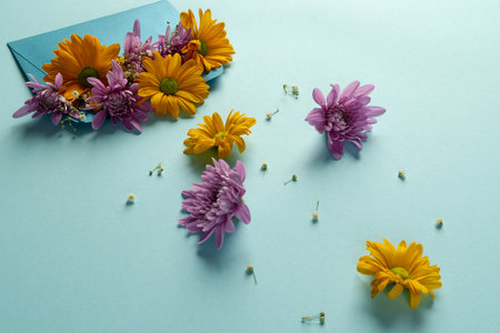 Pink and yellow flowers in blue envelope and copy space on blue background. Flower, plant, shape, nature and colour concept.の写真素材