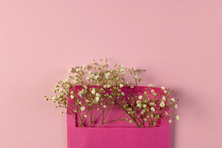White flowers in pink envelope and copy space on pink background. Flower, plant, shape, nature and colour concept.の写真素材
