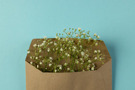 White flowers in brown envelope and copy space on blue background. Flower, plant, shape, nature and colour concept.の写真素材