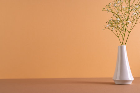 White flowers in white vase and copy space on orange background. Flower, plant, shape, nature and colour concept.の写真素材