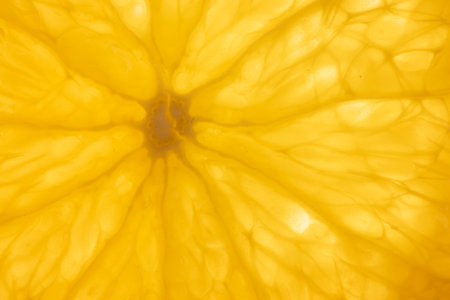 Micro close up of sliced lemon and copy space. Micro photography, food, texture and colour concept.の写真素材