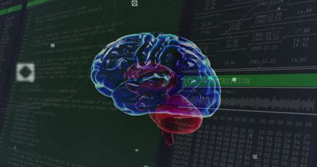 Image of human brain spinning and data processing over computer screens. digital interface, global medicine, technology and connection concept digitally generated image.の写真素材