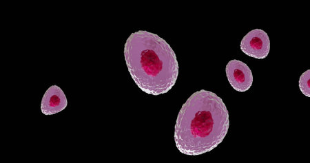 Image of micro of red and pink cells on black background. Global science, research and medicine...