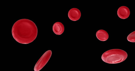 Image of micro of red blood cells on black background. Global science, research and medicine concept digitally generated image.の写真素材