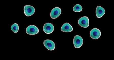 Image of micro of blue and turquoise cells on black background. Global science, research and...