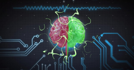 Image of human brain and data processing over circuit board. Global artificial intelligence, connections, computing and data processing concept digitally generated image.の写真素材