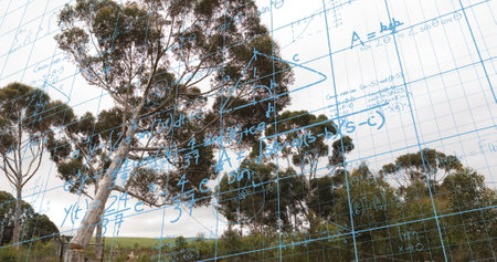 Image of mathematical equations over trees. Global education, technology and digital interface concept digitally generated image.の写真素材