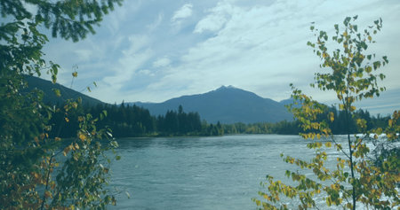 Trees surrounding calm river, with a mountain looming in distance. Sunlight filtering through leaves, casting gentle reflections on the waterの写真素材