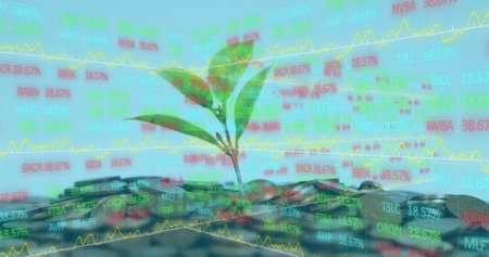 Image of financial data processing over money and plant on blue background. Global business, finance and economic crisis concept digitally generated image.の写真素材