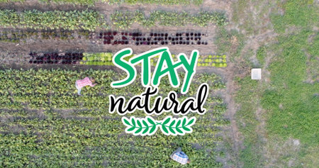 Image of stay natural text over two workers on field. global environment, green energy and digital...