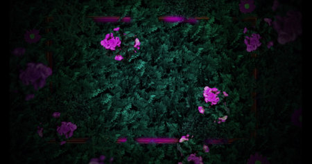 Image of flowers and leaves on black background, copy space. nature, shapes, backgrounds and digital interface concept digitally generated imageの写真素材