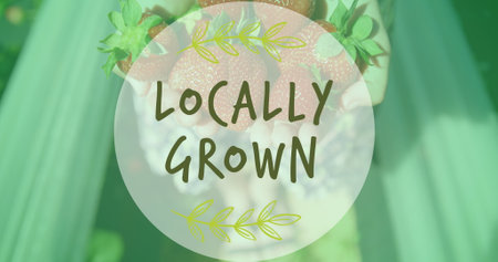 Image of locally grown text over hands holding strawberries. Global ecology, organic and digital interface concept digitally generated image.の写真素材