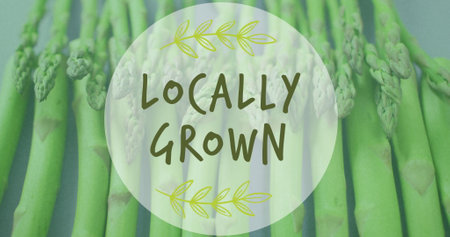 Image of locally grown text over asparagus. Global ecology, organic and digital interface concept digitally generated image.の写真素材