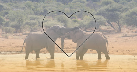 Image of heart over elephants on savanna. National wildlife and digital interface concept digitally generated image.の写真素材
