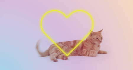 Image of falling hearts icon over ginger cat. International cat day concept digitally generated image.の写真素材