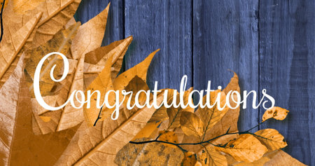 Image of congratulations text over leaves on wooden background. Thanksgiving day and celebration concept digitally generated image.の写真素材