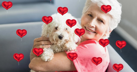 Image of heart icons over smiling senior woman holding dog. walk a dog day, communication and social media concept digitally generated image.の写真素材