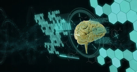 Image of human brain and digital data processing over black background. Global science, connections,...