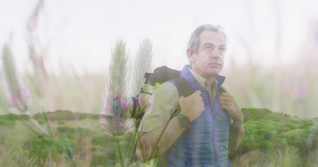 Mature Caucasian male hiking through tall grass, holding backpack straps. Sporting grey hair and thoughtful expression, he wears a blue jacketの写真素材