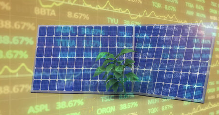 Image of financial data processing over solar panels and plant on yellow background. Global ecology...