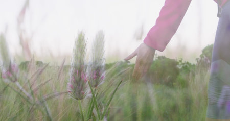 Happy caucasian senior woman hiking, stopping to touch plants, over tall grasses and sunlight....