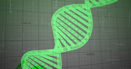 Image of dna strand over data processing. Global science, research, connections, computing and data processing concept digitally generated image.の写真素材