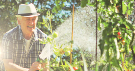 Spot of light against caucasian senior watering plants in the garden. community garden week awareness conceptの写真素材