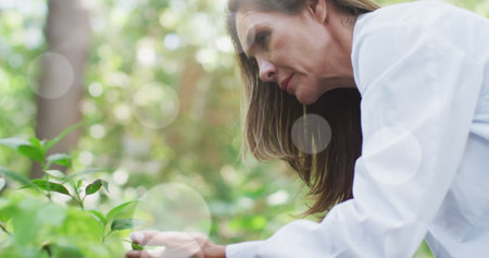 Spots of light against caucasian senior female scientist examining the plants in the garden. community garden week awareness conceptの写真素材
