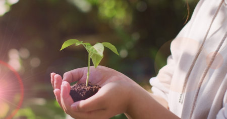 Spot of light against close up of a woman hands holding plant sampling in the garden. community garden week awareness conceptの写真素材