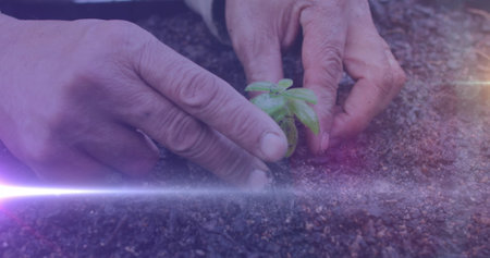 White light trail against close up of a hand planting a plant in the soil at the garden. community...