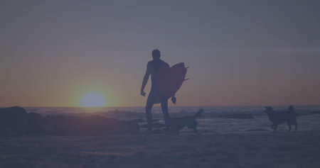 Caucasian male walking with two dogs on beach, holding surfboard. He has dark hair, and sunset...