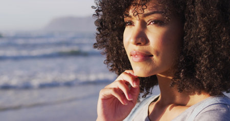Image of noel text over african american woman at beach. Christmas, tradition and celebration concept digitally generated image.の写真素材