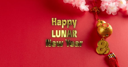Image of happy lunar new year ext over chinese pattern on red background. Chinese new year, festivity, celebration and tradition concept digitally generated image.の写真素材