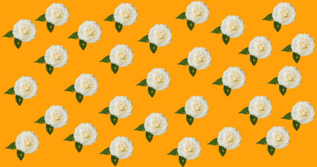 Image of multiple pink, yellow and white roses moving over orange background. pattern, colour and movement concept digitally generated image.の写真素材