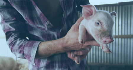 Image of financial data processing over caucasian man holding pig. Global finances, ecology and...