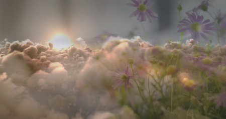 Image of sunset and flowers over senior woman lying in bed. global coronavirus pandemic, medicine and healthcare concept digitally generated image.の写真素材