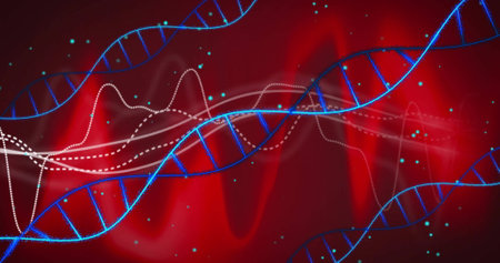 DNA strands and data waves, genetic research image over red background. Genetics, science,...