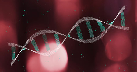 DNA strand image over blurred red and pink lights. Genetics, biotech, molecules, genome, double helix, scienceの写真素材