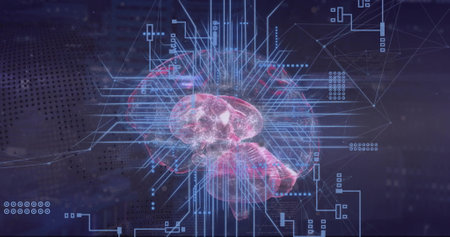 Image of digital data processing, brain and circuit board over computer servers. Global connections,...