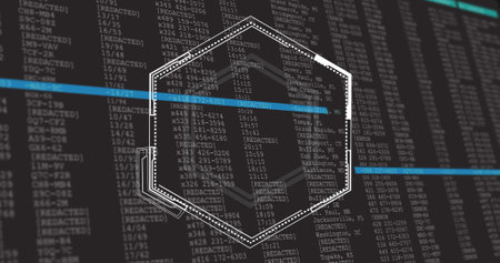 Hexagonal shape over redacted data and coding image. Technology, data privacy, cybersecurity, encryption, programming, secure dataの写真素材