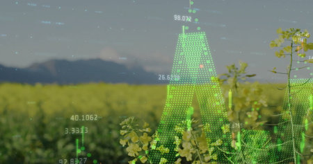 Image of diagrams and data processing over field. Global business, nature and digital interface concept, digitally generated image.の写真素材