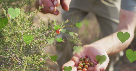 Image of hearts icons over caucasian man gardening. social media and communication interface concept digitally generated image.の写真素材