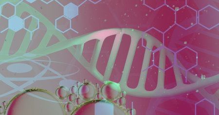 Image of bubbles over dna strand and hexagons on pink background. Science, medicine and digital interface concept digitally generated image.の写真素材