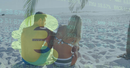 Image of euro sign and financial data processing over couple on beach. Global holiday, business, finance, computing, connections and data processing concept digitally generated image.の写真素材
